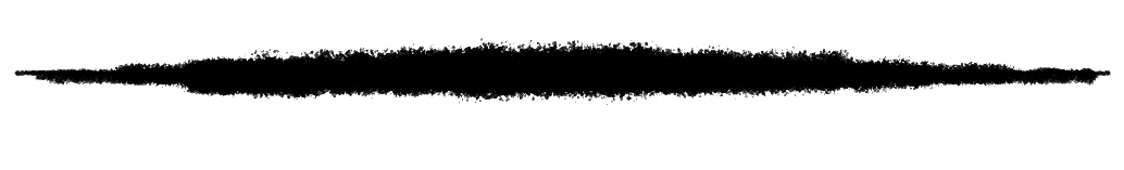 MetaZoo divider