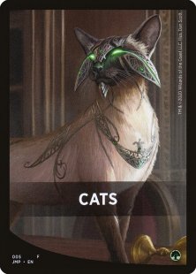 Cats front card