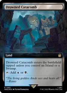 Drowned Catacomb (surge foil) (extended art)