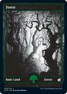 Forest (#276) (full art)