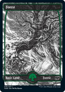 Forest (#276) (full art)