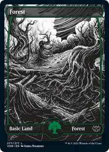 Forest (#277) (foil) (full art)