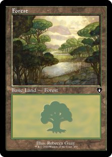 Forest (#450)