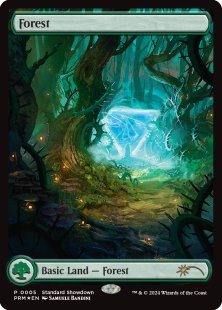 Forest (13) (standard showdown) (foil) (full art)