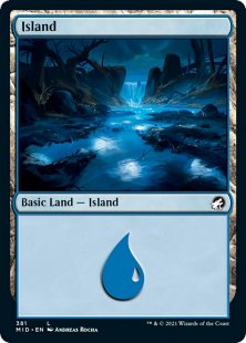 Island (#381) (foil)
