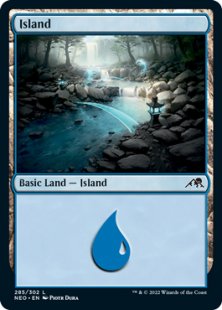 Island (#285) (foil)