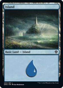 Island (#265) (foil)