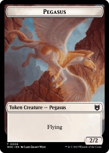 Pegasus token (2/2)