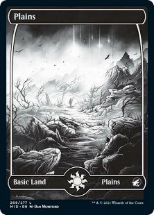 Plains (#269) (foil) (full art)