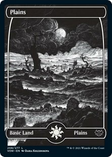 Plains (#268) (foil) (full art)