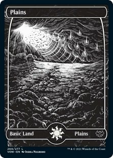 Plains (#269) (foil) (full art)