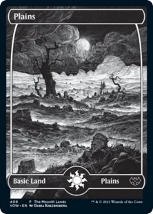 Plains (11) (foil-etched)