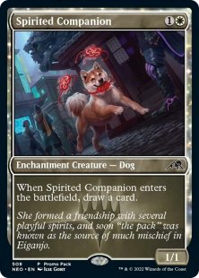 Spirited Companion