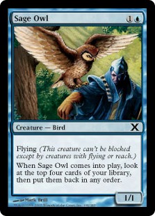 Sage Owl (foil)