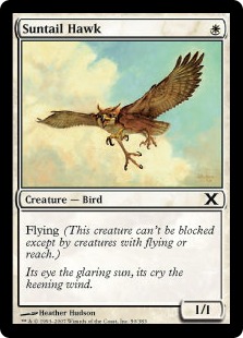Suntail Hawk (foil)