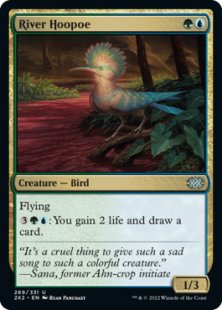 River Hoopoe (foil)