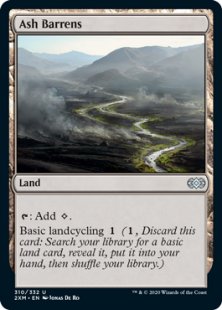 Ash Barrens (foil)