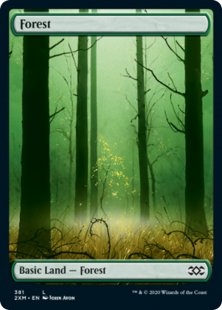 Forest (#381) (full art)