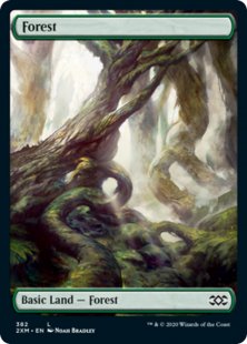 Forest (#382) (full art)