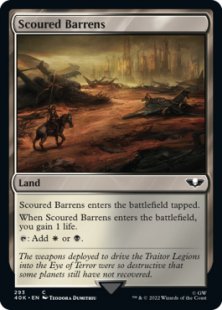 Scoured Barrens (surge foil)