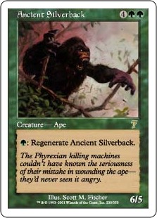 Ancient Silverback