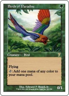 Birds of Paradise (foil)