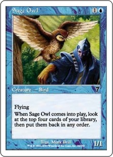 Sage Owl (foil)