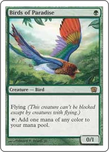 Birds of Paradise (foil)