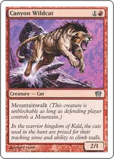 Canyon Wildcat (foil)