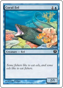 Coral Eel