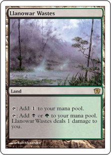 Llanowar Wastes (foil) - 9th Edition | Bazaar of Magic