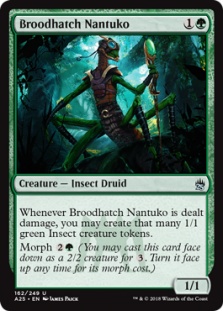 Broodhatch Nantuko (foil)