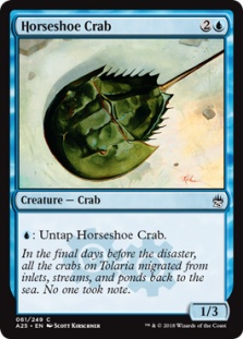 Horseshoe Crab (foil)