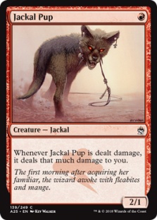Jackal Pup (foil)