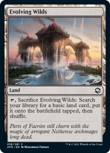 Evolving Wilds (foil)