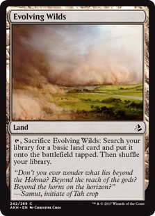 Evolving Wilds (foil)