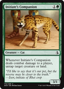 Initiate's Companion (foil)