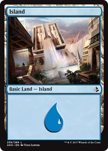 Island (#259) (foil)