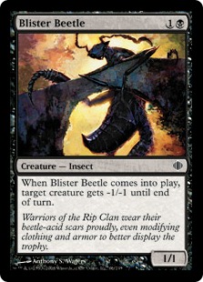 Blister Beetle (foil)