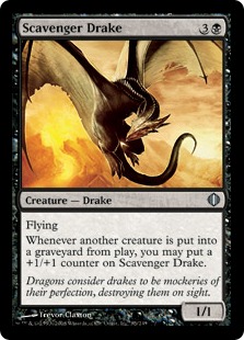 Scavenger Drake