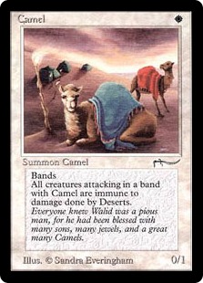 Camel (VG)