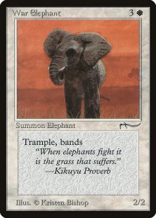 War Elephant (2)