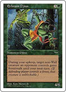 Erhnam Djinn