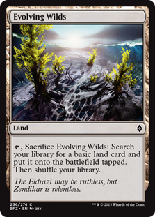 Evolving Wilds (foil)