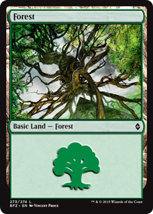 Forest (#273a) (default frame)