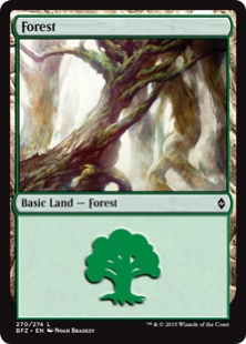 Forest (#270a) (default frame)