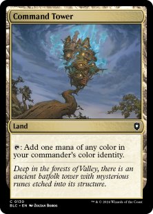 FOIL 狂気を操る者チェイナー TOR 英語版 MTG - 黒