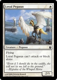 Loyal Pegasus