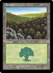Forest (5)