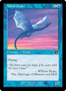 Wind Drake